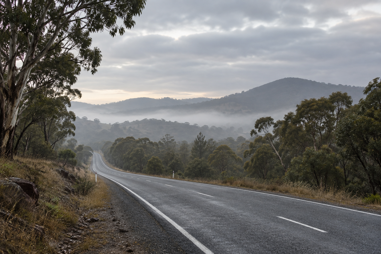 Quiet highway through eucalyptus countryside