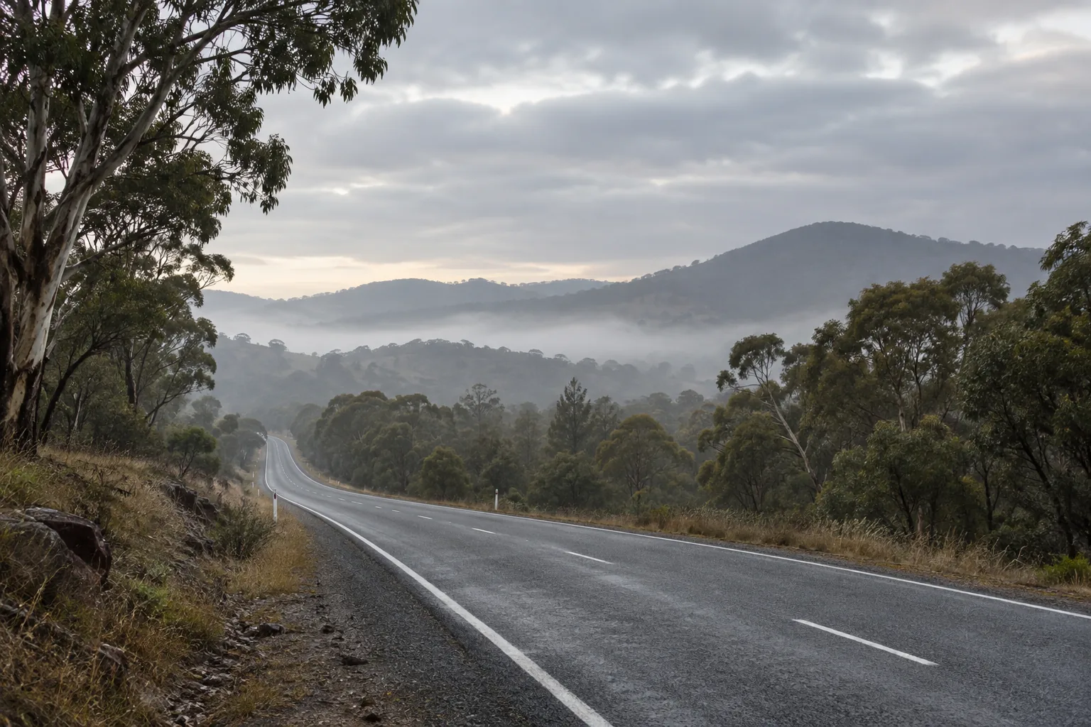 Open highway through eucalyptus countryside